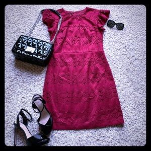 ✨🆕Trina Turk Flutter Sleeve Lace Sheath Dress✨